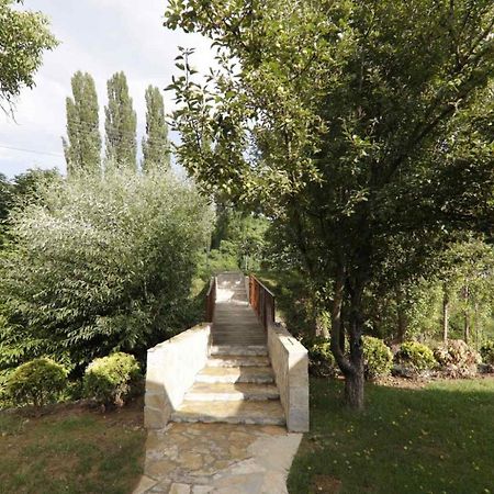 Brvnare Ala Vrdnik Villa Екстериор снимка