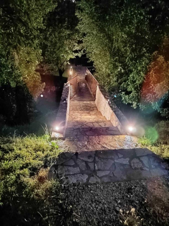 Brvnare Ala Vrdnik Villa Екстериор снимка