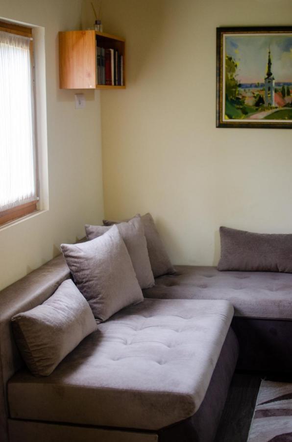 Brvnare Ala Vrdnik Villa Екстериор снимка